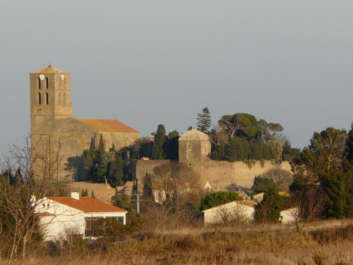 Chateau De Puicheric Bagian luar foto