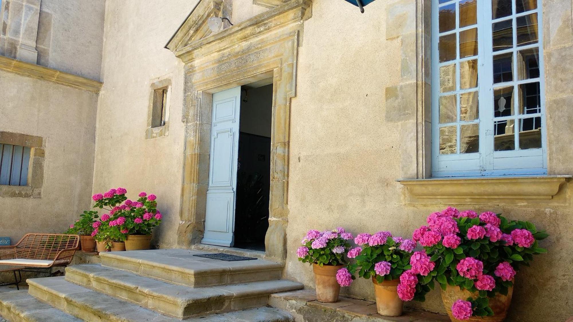 Chateau De Puicheric Bagian luar foto